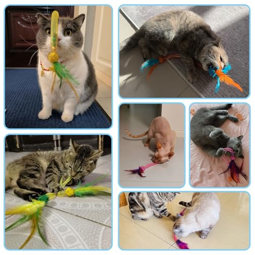 PetGens - Jouets interactifs pour chats, jouets avec ressorts, herbe à chat, plumes et clochettes, idéaux pour les chats